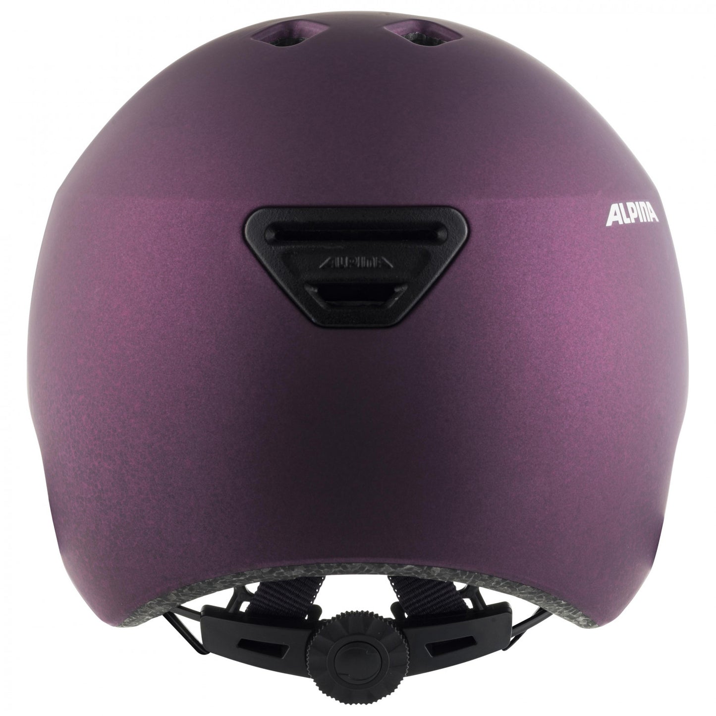 Alpina Hackney Helmet