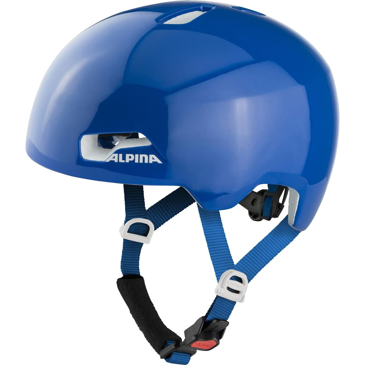Alpina Hackney Helmet