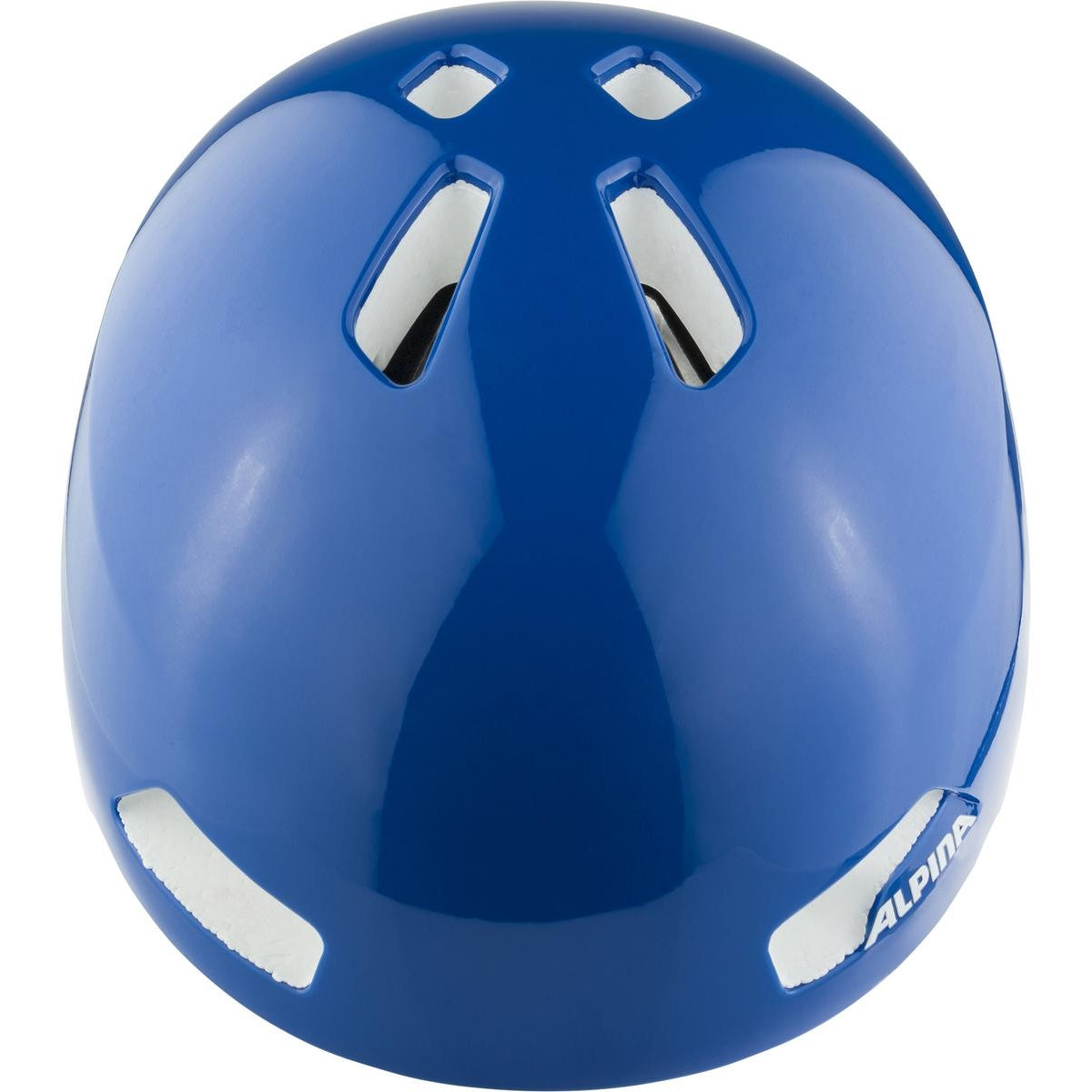 Alpina Hackney Helmet