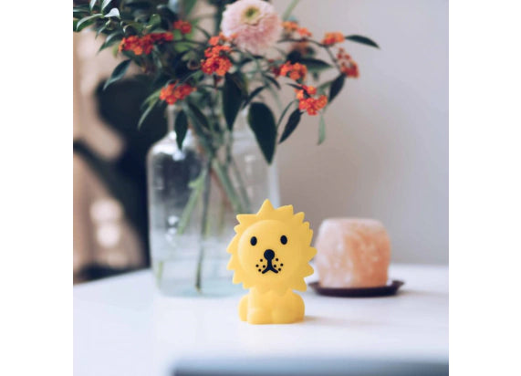 Mr Maria Lion Light