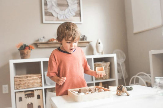 boy playing with shells