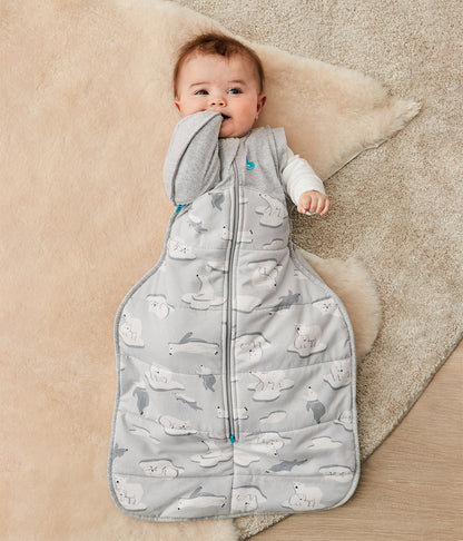 Love to Dream Swaddle UP Transition Bag 3.5 Tog Extra Warm