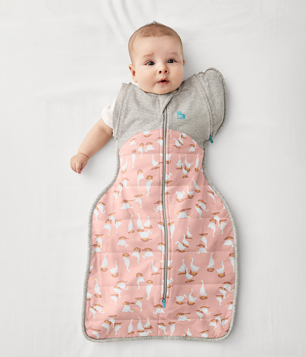 Love to Dream Swaddle UP Transition Bag 2.5 Tog