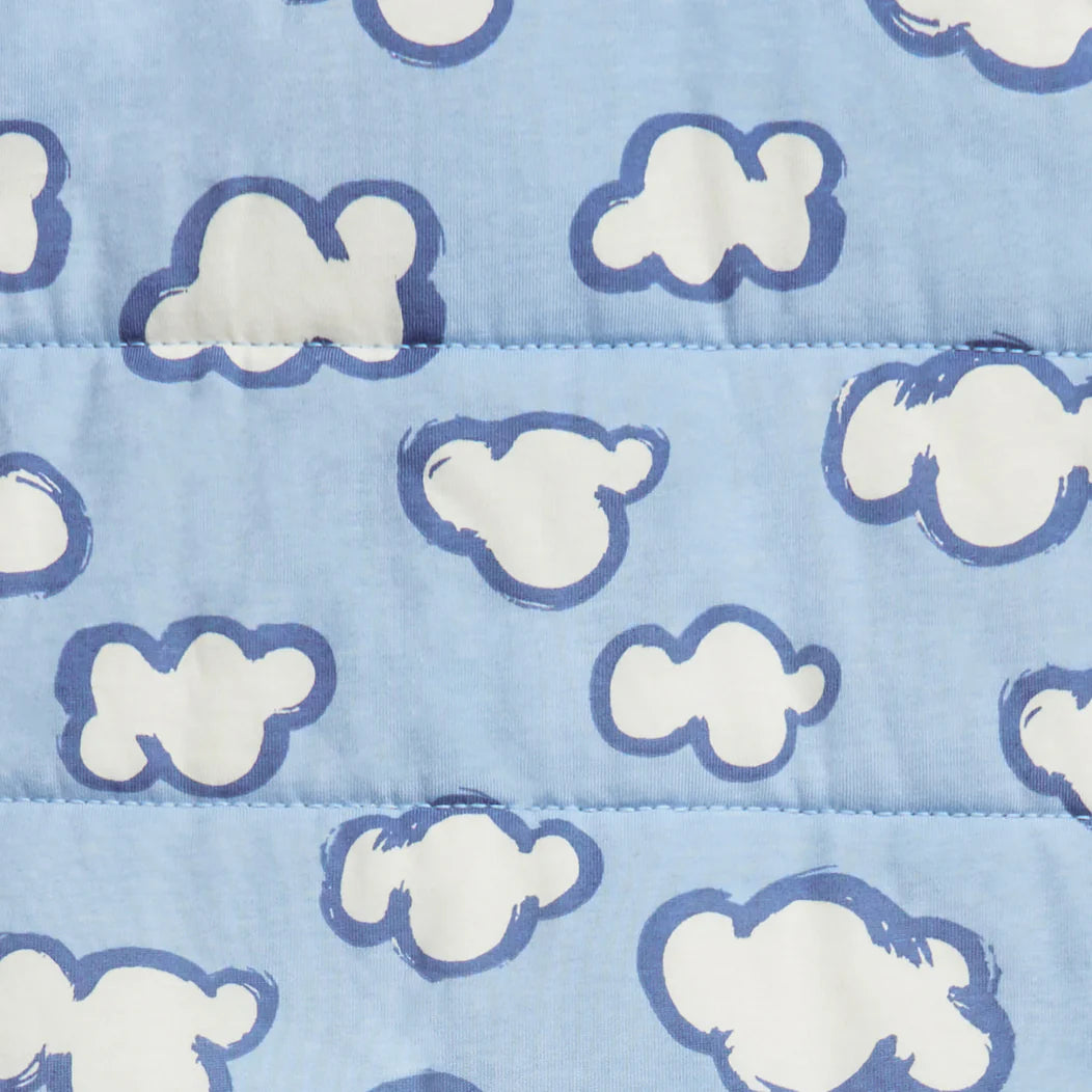 Sleep Bag 2.5 Tog