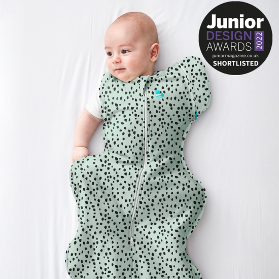 Love to Dream Swaddle UP Transition Bag 1.0 Tog
